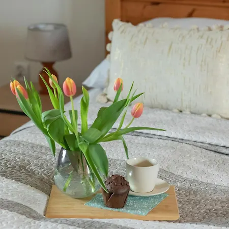 Beautiful House With A Garden For 6 People In By Renters Dom wakacyjny Budzistowo