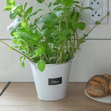 Beautiful House With A Garden For 6 People In By Renters Dom wakacyjny Budzistowo